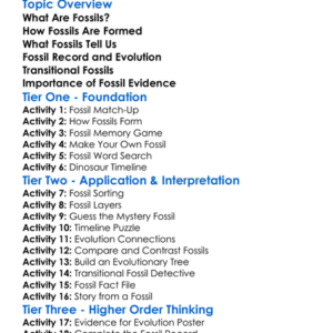 Fossil Evidence Of Evolution Worksheet Activity Booklet