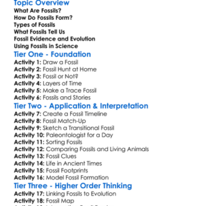 Fossil Evidence Worksheet Activity Booklet