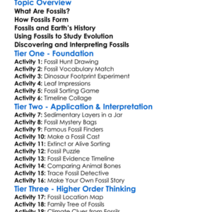 Fossil Evidence Worksheet Activity Booklet