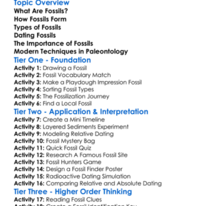 Fossil Formation And Dating Worksheet Activity Booklet