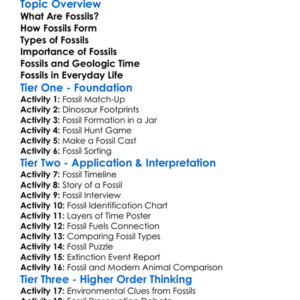 Fossil Formation And Importance Worksheet Activity Booklet