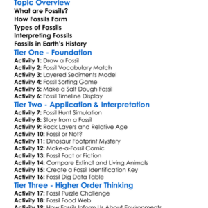 Fossil Formation And Interpretation Worksheet Activity Booklet