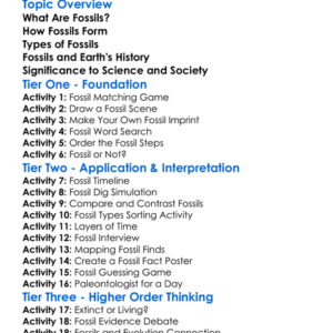 Fossil Formation And Significance Worksheet Activity Booklet
