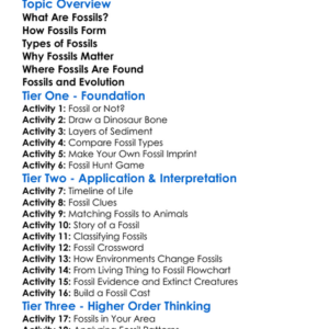 Fossil Formation And Types Worksheet Activity Booklet