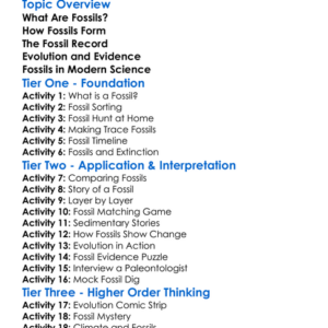 Fossil Records And Evolution Worksheet Activity Booklet