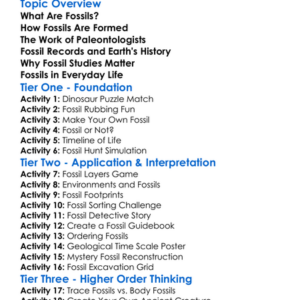 Fossil Records And Paleontology Worksheet Activity Booklet
