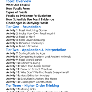 Fossils And Evidence For Evolution Worksheet Activity Booklet