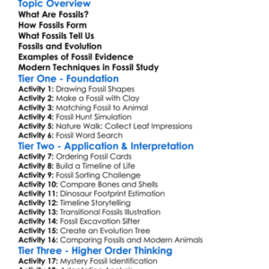 Fossils And Evidence Of Evolution Worksheet Activity Booklet