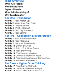 Fossils And Paleontology Worksheet Activity Booklet