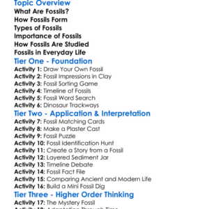 Fossils And Their Significance Worksheet Activity Booklet