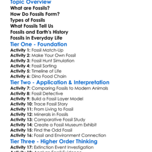 Fossils And What They Teach Us Worksheet Activity Booklet