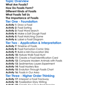 Fossils And What They Tell Us Worksheet Activity Booklet