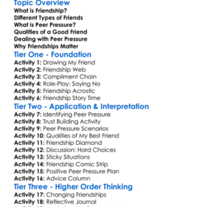 Friendship And Peer Pressure Worksheet Activity Booklet