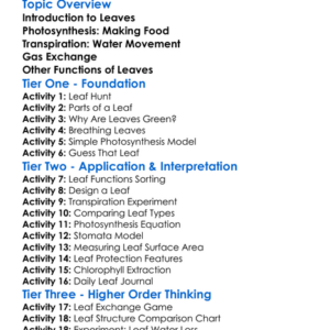 Functions Of Leaves Worksheet Activity Booklet