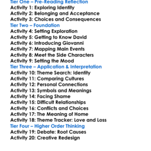 Giovannis Room James Baldwin Worksheet Activity Booklet