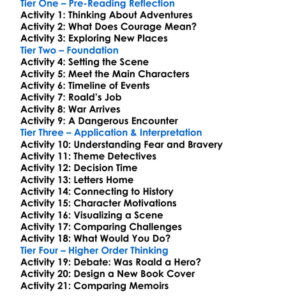 Going Solo Roald Dahl Worksheet Activity Booklet