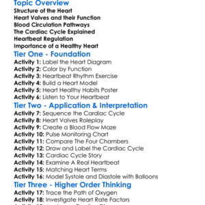 Heart Anatomy And Cardiac Cycle Worksheet Activity Booklet
