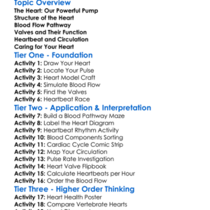 Heart Function And Blood Flow Worksheet Activity Booklet