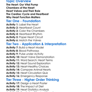 Heart Structure And Function Worksheet Activity Booklet
