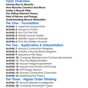 How Muscles Contract Worksheet Activity Booklet