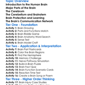 Human Brain And Its Parts Worksheet Activity Booklet