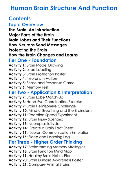 Human Brain Structure And Function Worksheet Activity Booklet