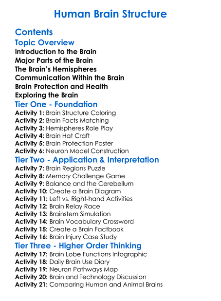 Human Brain Structure Worksheet Activity Booklet