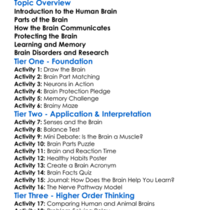 Human Brain Worksheet Activity Booklet