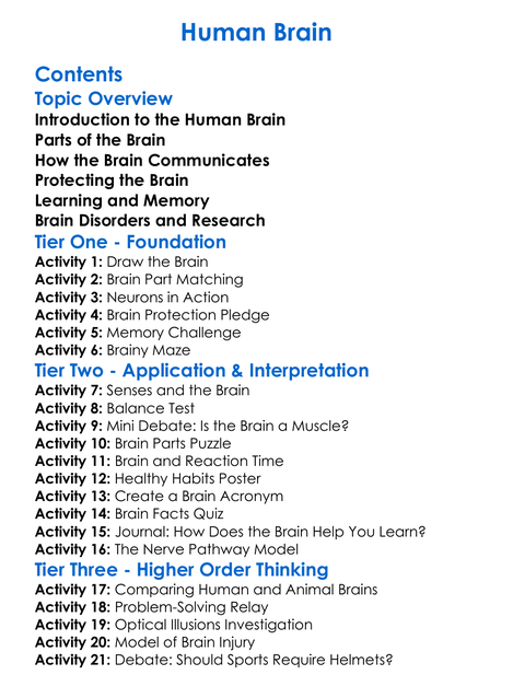 Human Brain Worksheet Activity Booklet
