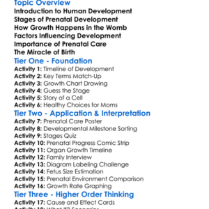 Human Development Before Birth Worksheet Activity Booklet