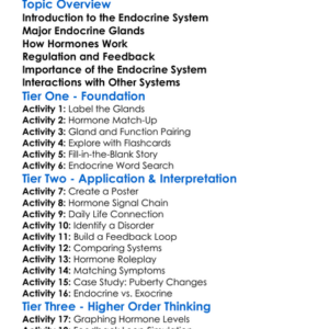 Human Endocrine System Worksheet Activity Booklet