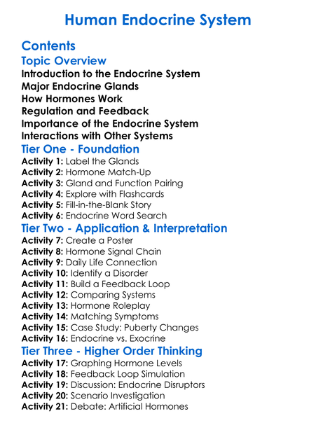 Human Endocrine System Worksheet Activity Booklet