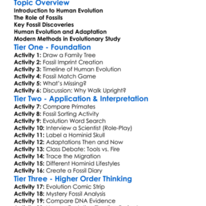 Human Evolution And Fossil Evidence Worksheet Activity Booklet