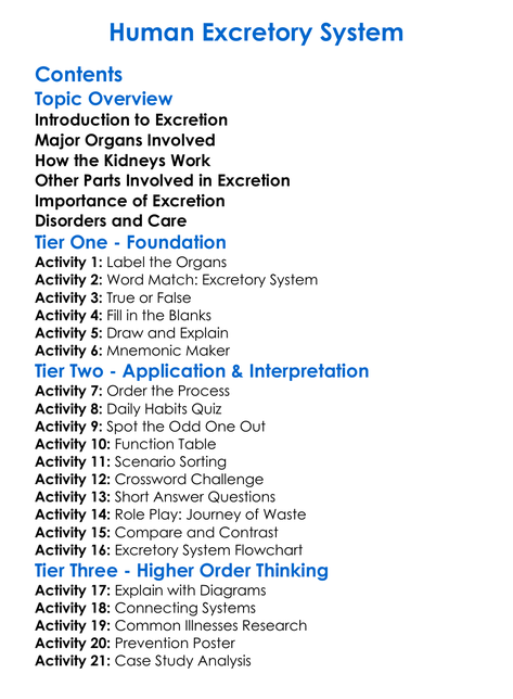 Human Excretory System Worksheet Activity Booklet