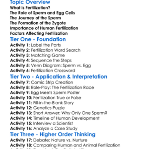 Human Fertilization Worksheet Activity Booklet