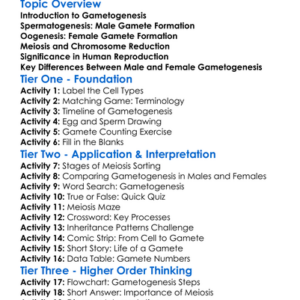 Human Gametogenesis Worksheet Activity Booklet