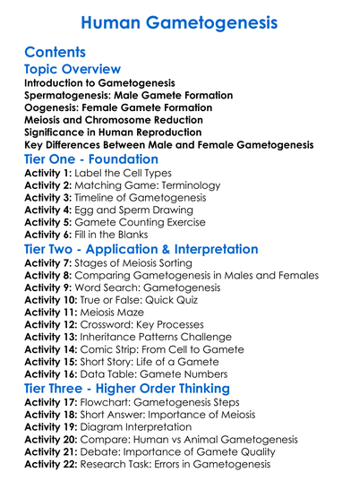 Human Gametogenesis Worksheet Activity Booklet