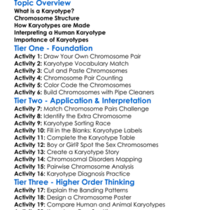 Human Karyotype Worksheet Activity Booklet