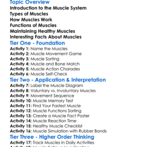 Human Muscle System Worksheet Activity Booklet