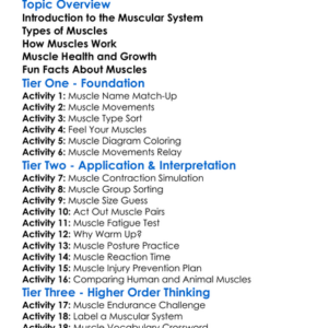 Human Muscular System Worksheet Activity Booklet