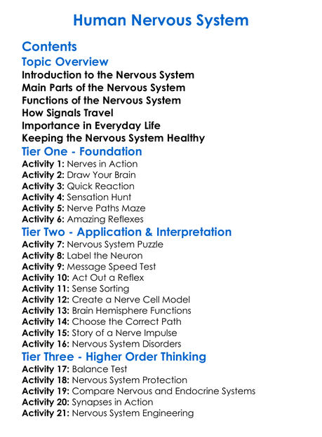 Human Nervous System Worksheet Activity Booklet