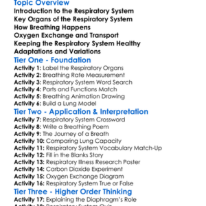 Human Respiratory System Worksheet Activity Booklet