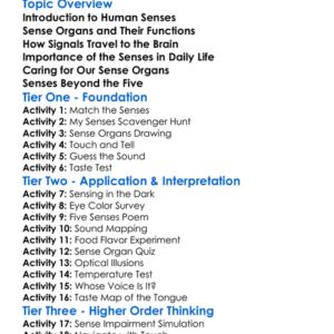 Human Senses And Sense Organs Worksheet Activity Booklet