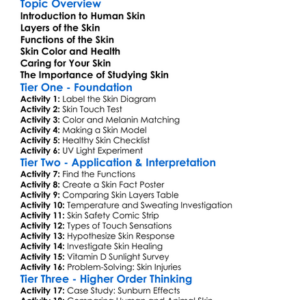 Human Skin Structure And Function Worksheet Activity Booklet