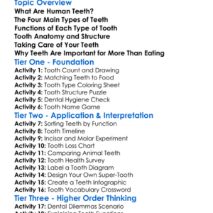 Human Teeth Types And Functions Worksheet Activity Booklet