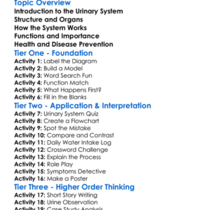 Human Urinary System Worksheet Activity Booklet