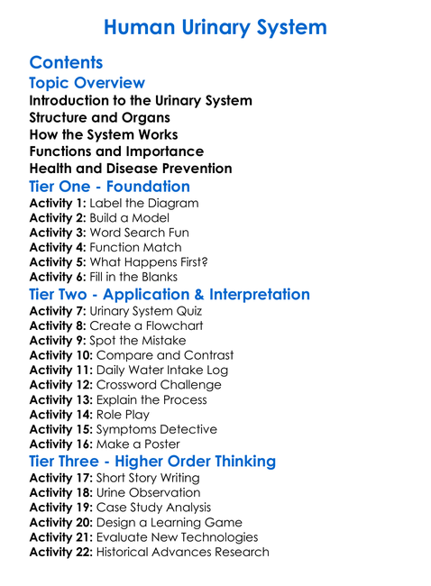 Human Urinary System Worksheet Activity Booklet