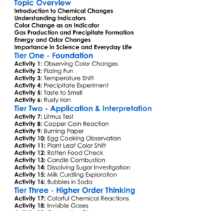 Indicators Of Chemical Change Worksheet Activity Booklet