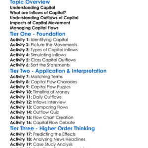 Inflows And Outflows Of Capital Worksheet Activity Booklet