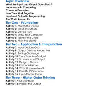 Input And Output Operations Worksheet Activity Booklet